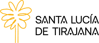 Ayto Santa Lucía de Tirajana